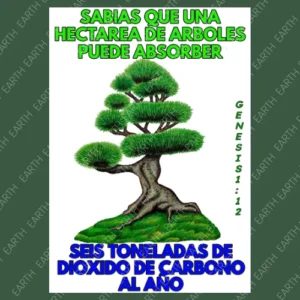 Guardianes del Aire
