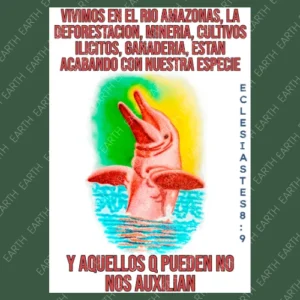 Voz Silenciosa