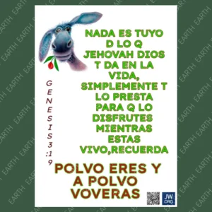 Reflexión sobre lo esencial