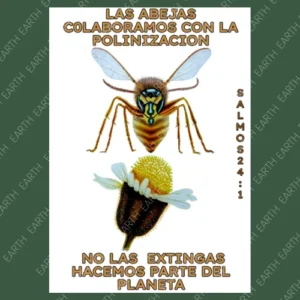 Aliadas del Planeta
