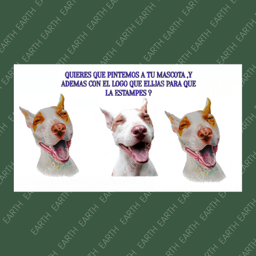 Alegría Pura