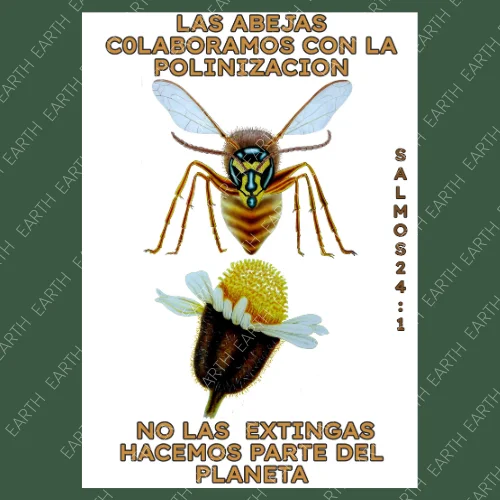 Aliadas del Planeta