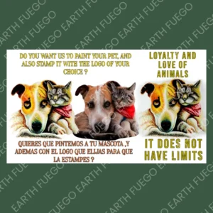 Amistad Sin Límites