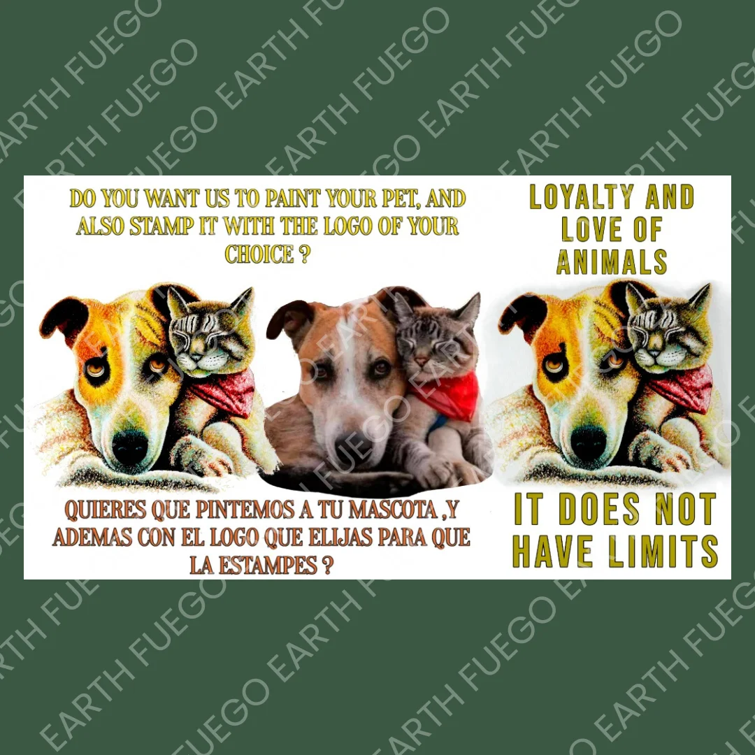 Amistad Sin Límites