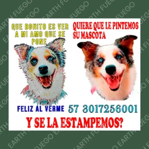 Border Collie Hecho Arte