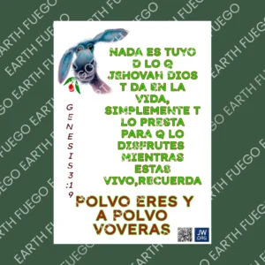 Reflexión sobre lo esencial